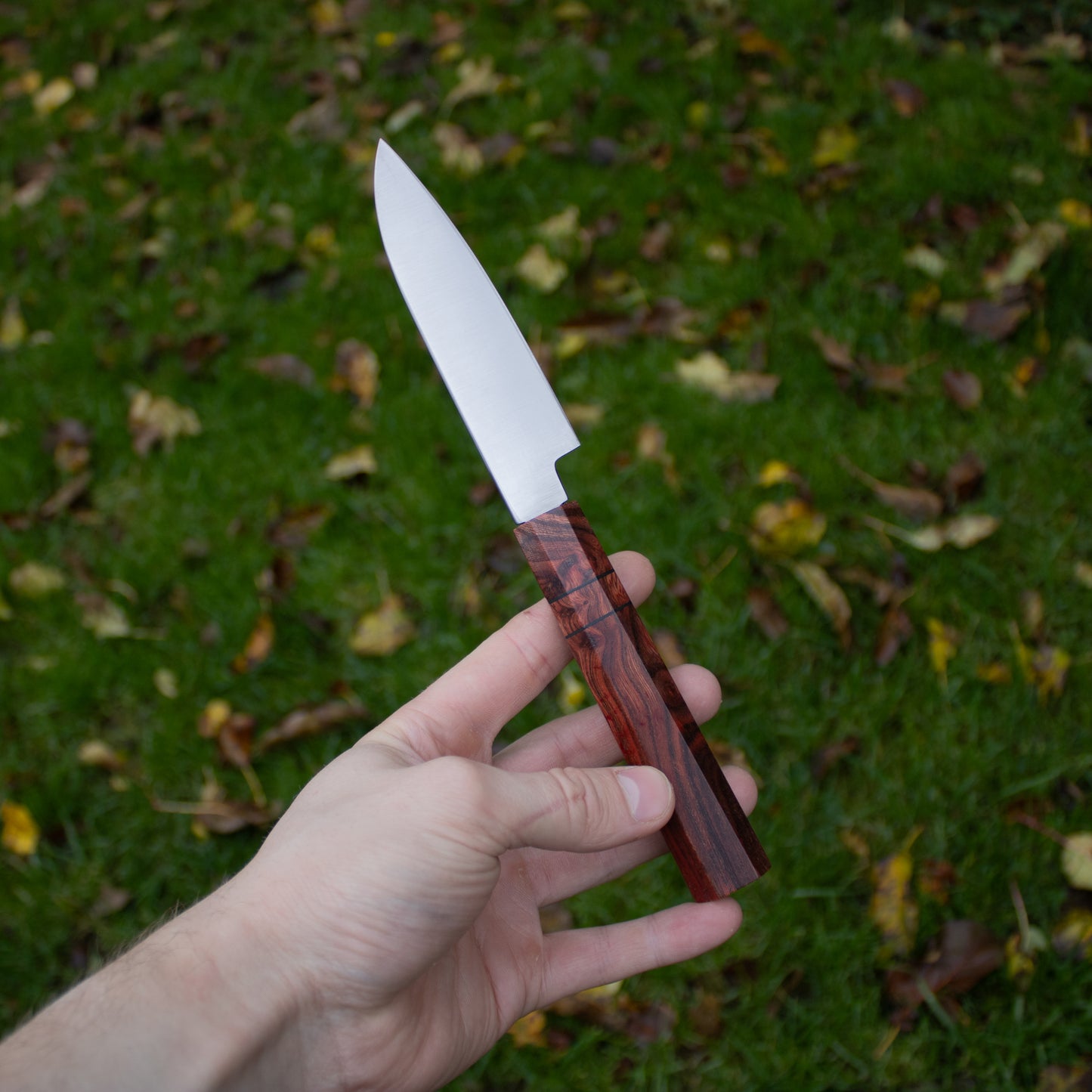 Petty kniv, 12 cm