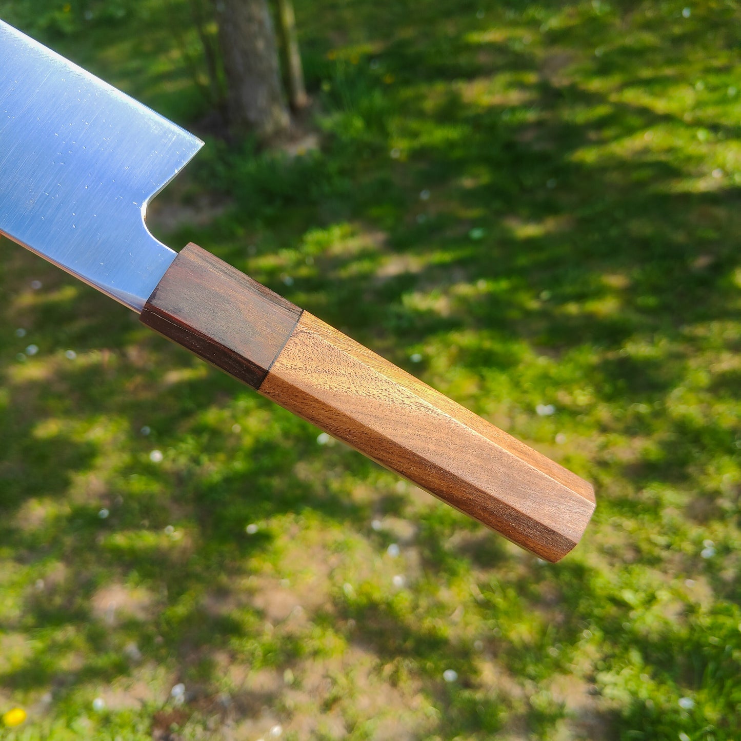 27 cm Gyuto | Apex Ultra
