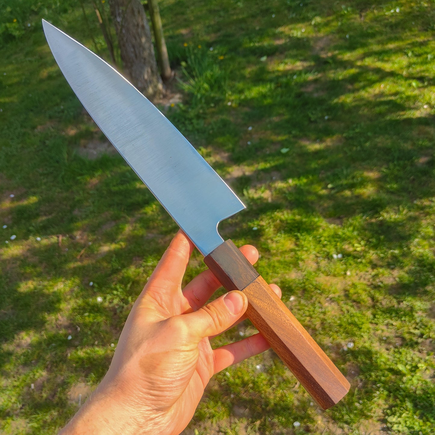 27 cm Gyuto | Apex Ultra