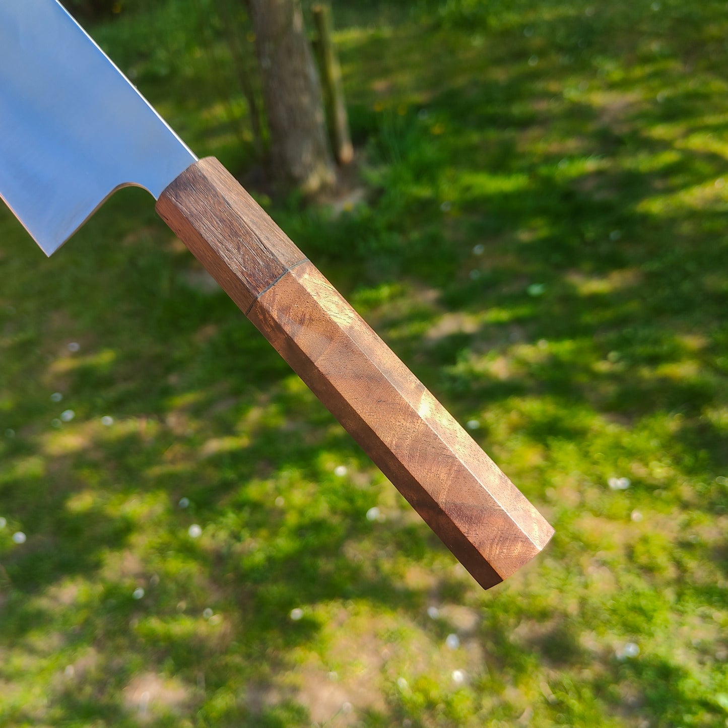 25 cm Gyuto | Apex Ultra